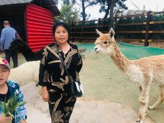 -西霞口神雕山野生动物世界