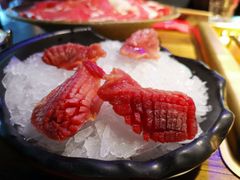 -九鼎轩脆毛肚火锅(商业街店)