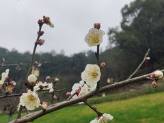 -东钱湖小普陀景区