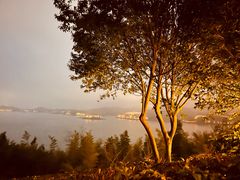 -天目湖涵田半山温泉