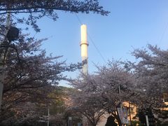 -海云台海滩