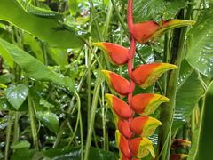 -中国科学院西双版纳热带植物园
