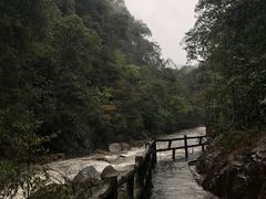 -九龙江国家森林公园