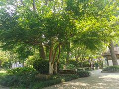 -狼山风景名胜区