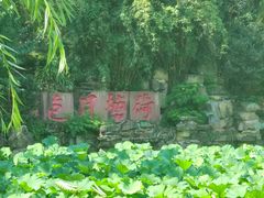 -老桂湖公园-杨升庵博物馆