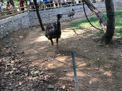 -石家庄市动物园