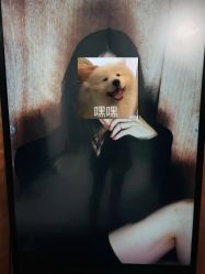 -懒猫摄影studio写真馆
