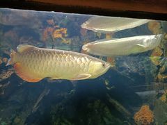 -华夏文旅海洋公园