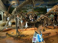 -自贡恐龙博物馆