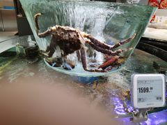 -盒马鲜生(悠方店)