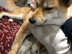 -About Bistro關於·泰式家庭料理