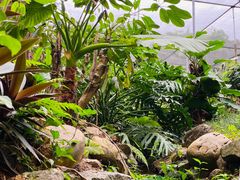 -水濂山森林公园