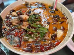 泡菜鱼-思普雅苑
