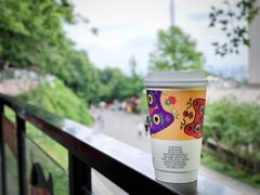 -茶颜悦色(岳麓山顶店)