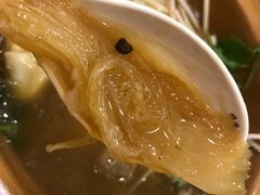 -大中鱼翅 Taitong Shark Fin