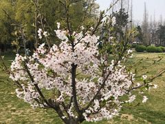 -方所(华润万象城店)