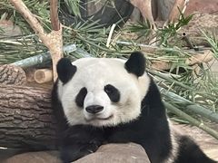 -南宁市动物园