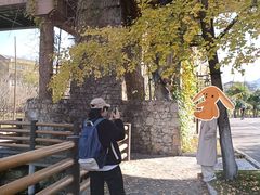 -黄陂区野村谷景区
