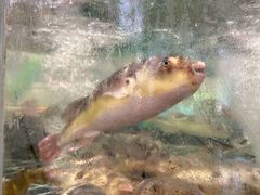 -蒋公馆家宴(江阴店)