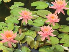-邓小平故里