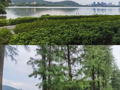 -顺峰山公园
