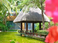 -三亚湾海居铂尔曼度假酒店