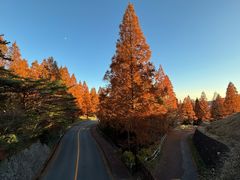 -神户市立六甲山牧场