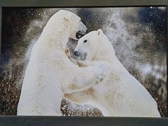 -罗红摄影艺术馆