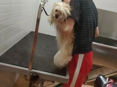 -Pets First伊珊娜洗护·精致美容·家庭式寄养(新会路店)