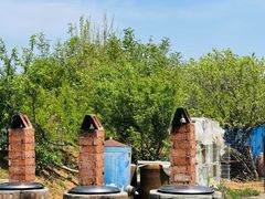 -莱阳濯村樱花园