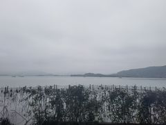 -湖畔居茶楼(湖滨店)