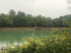 -三江森林温泉度假区