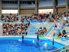 -海合安成都极地海洋公园
