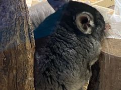 -月枫堂(长春这有山店)