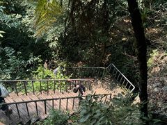 -七仙岭温泉国家森林公园