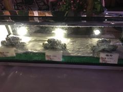 -南宁邕江宾馆