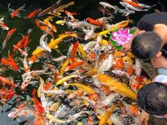 -西林禅寺