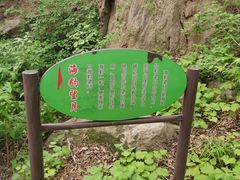 -大岭沟猕猴桃谷风景区