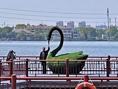 -鹅湖玫瑰文化园