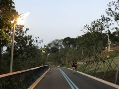 景点-飞凤山奥体公园