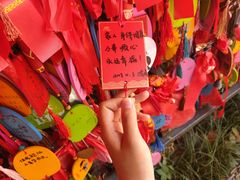 -芜湖方特东方神画