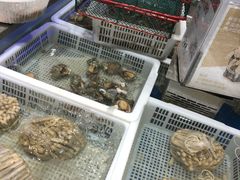-盒马鲜生(顺义店)