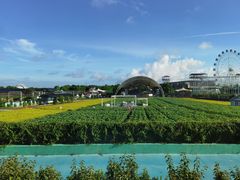 -广州花之恋城堡酒店