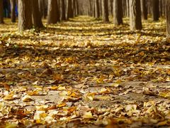 -汉景帝阳陵博物院