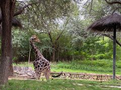 -北京野生动物园