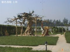 大树-西瓜小镇