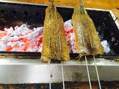 -老广烧烤(骆驼山康馨园店)