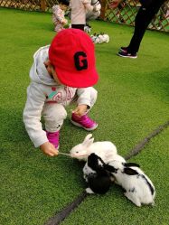 -萌宠亲子动物乐园(槐房万达店)