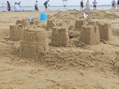 -碧海金沙