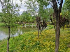 -东郊湿地公园